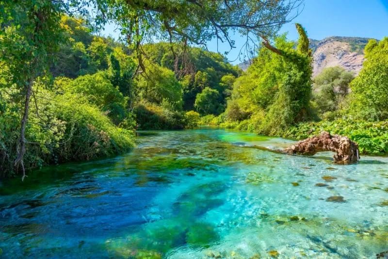 Œil Bleu