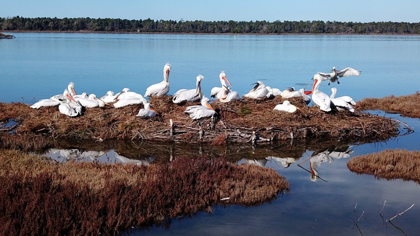 Karavasta – lagune